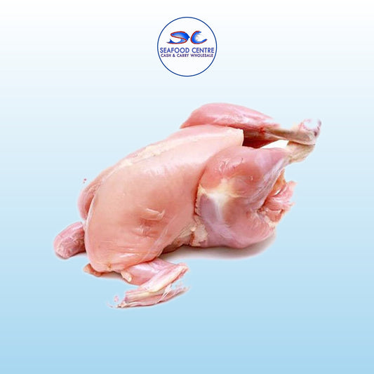 BABY CHICKEN