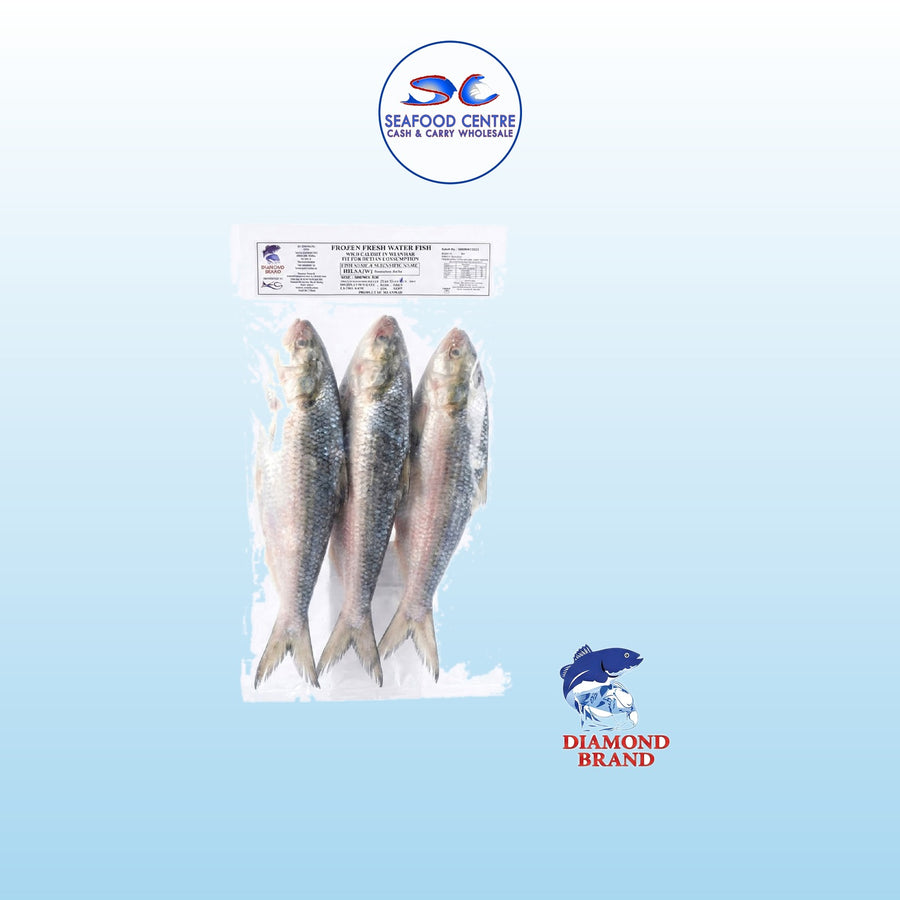 HILISHA (FAMILY PACK) 3PC IN 1.8KG