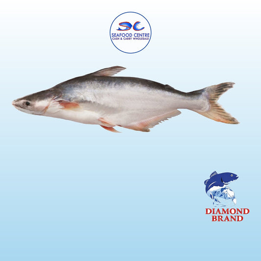 PANGASH 3KG UP