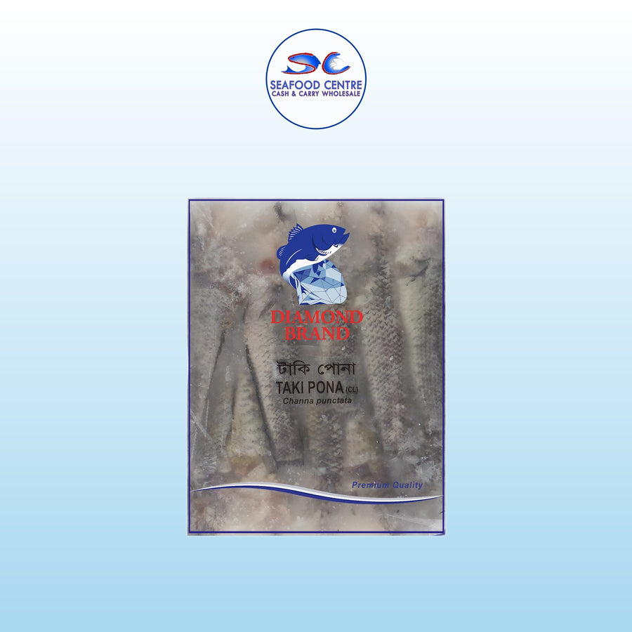 TAKI PONA (clean)